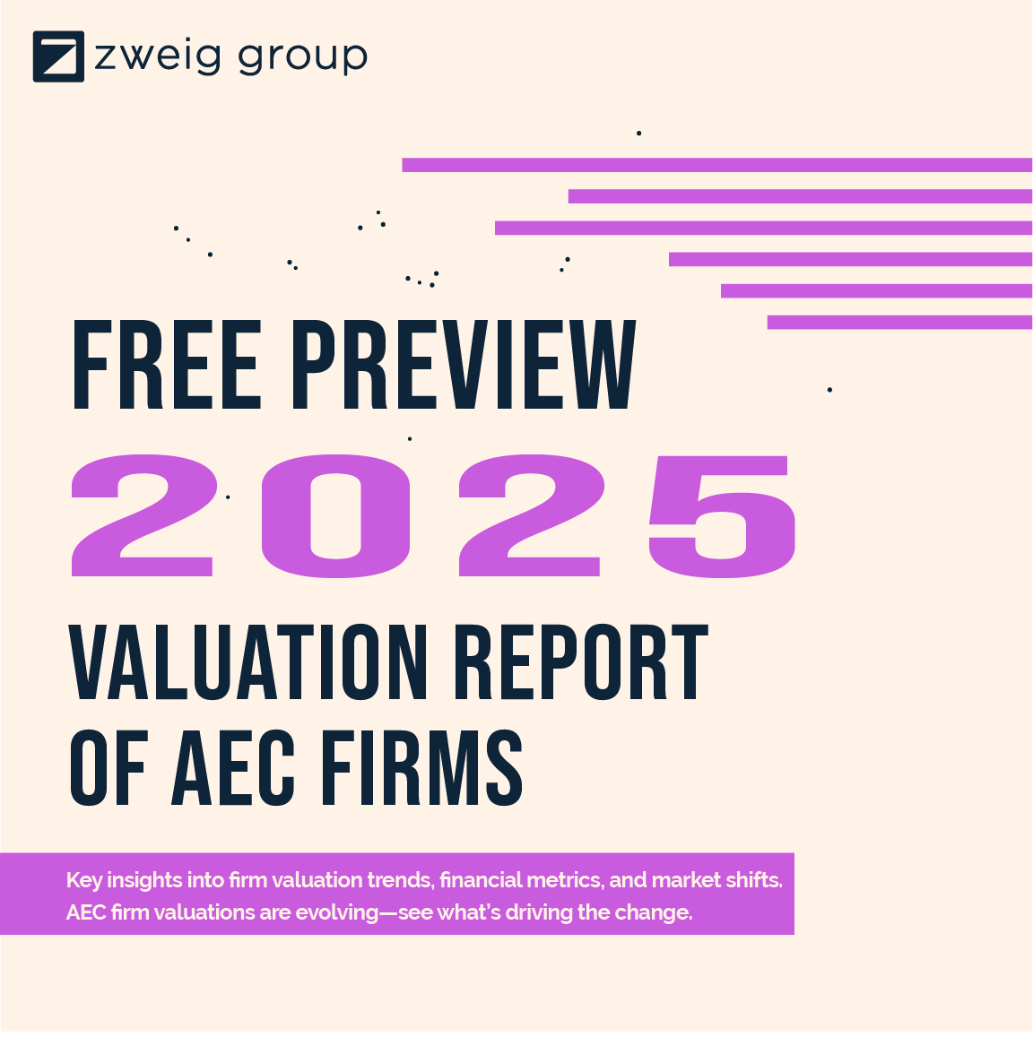 Free Preview for 2025 Valuation Report Cover