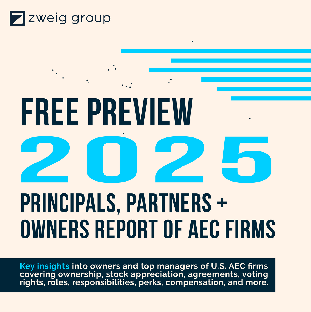 Free Preview for 2025 Principals, Partners + Owners Report Cover