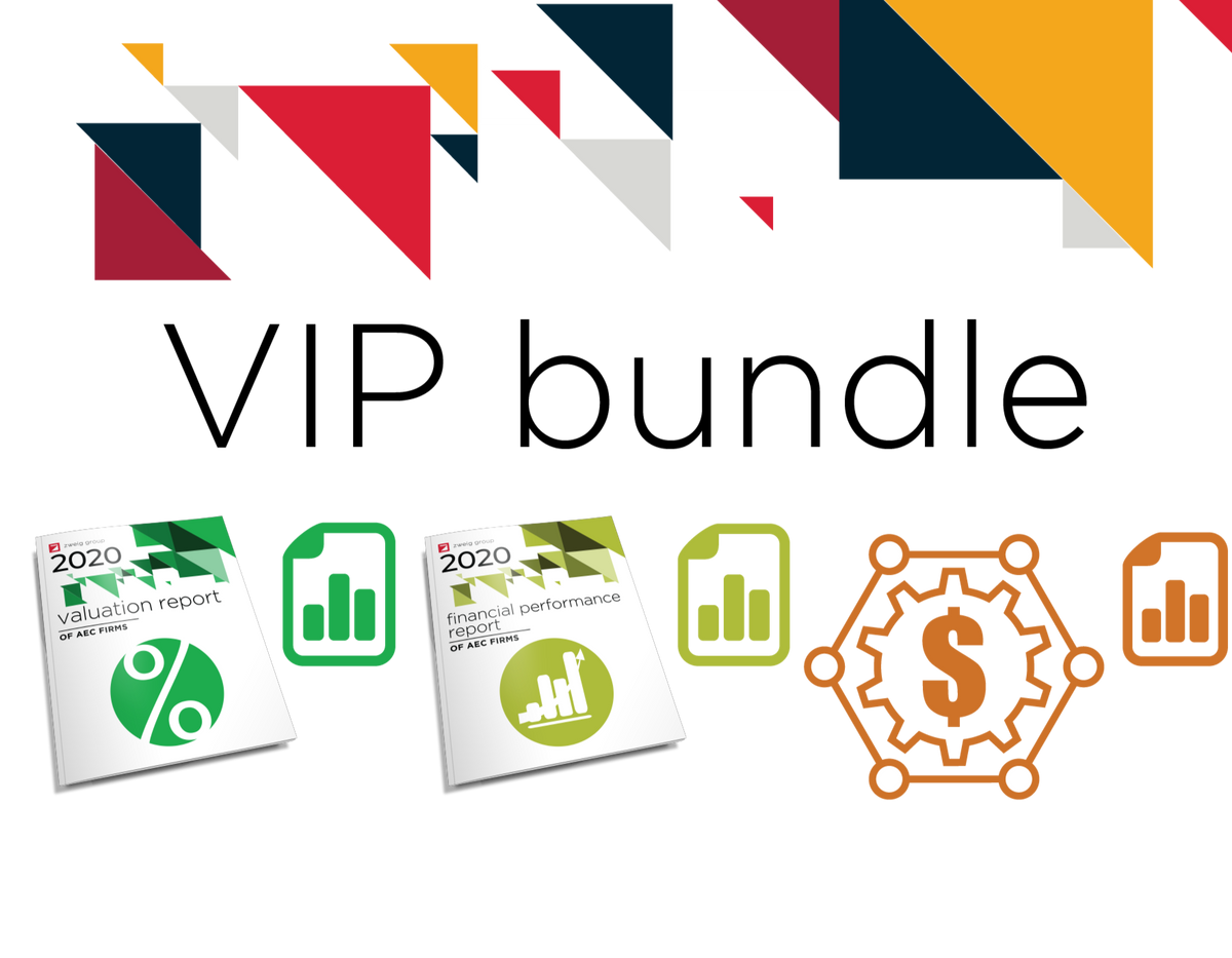 2021 VIP Bundle (Value, Income, Profit) Cover
