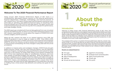 2020 Financial Performance Survey Report Preview #6