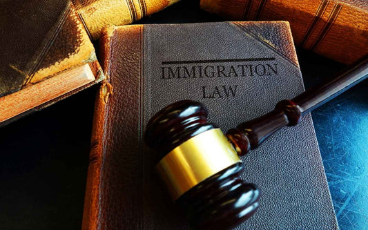 Immigration after 2025