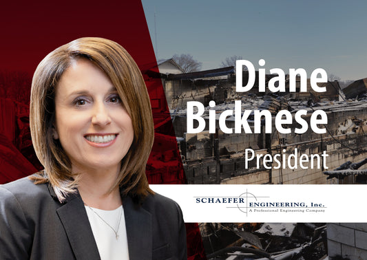 Exceed expectations: Diane Bicknese