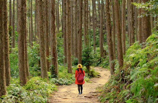 Don’t forget the forest for the trees