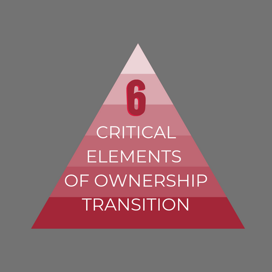 Six critical elements of AEC firm ownership transition