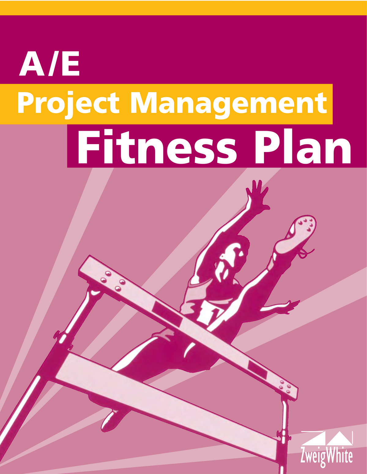 A/E Project Management Fitness Plan Cover