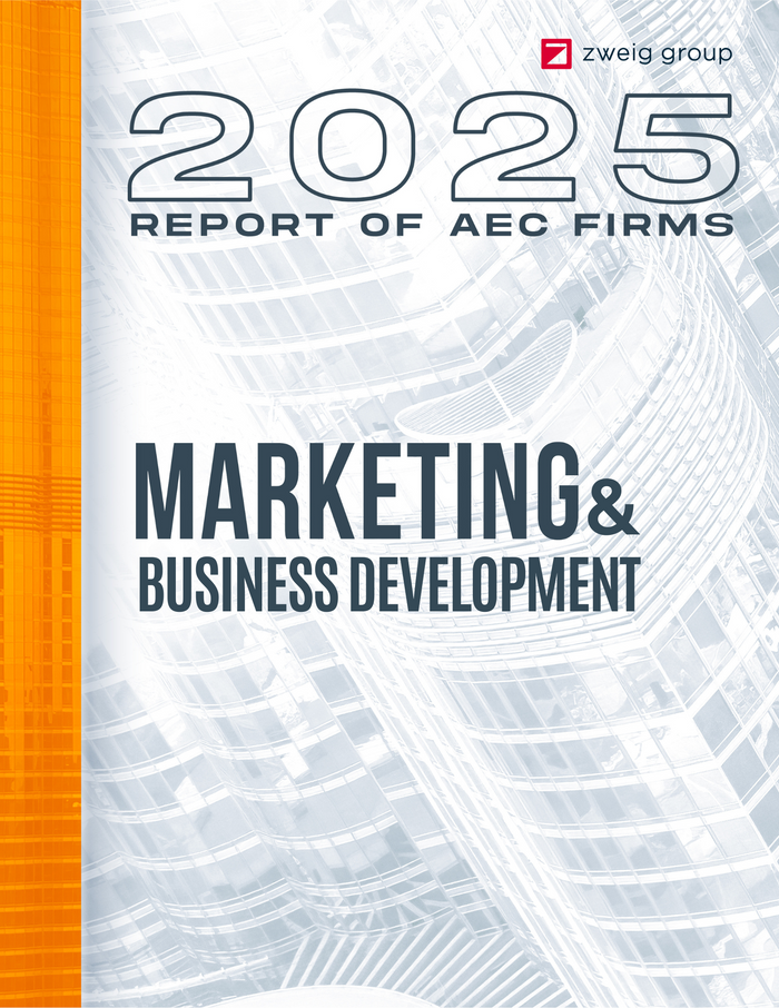 2025 Marketing and Business Development Report (Pre-Order)