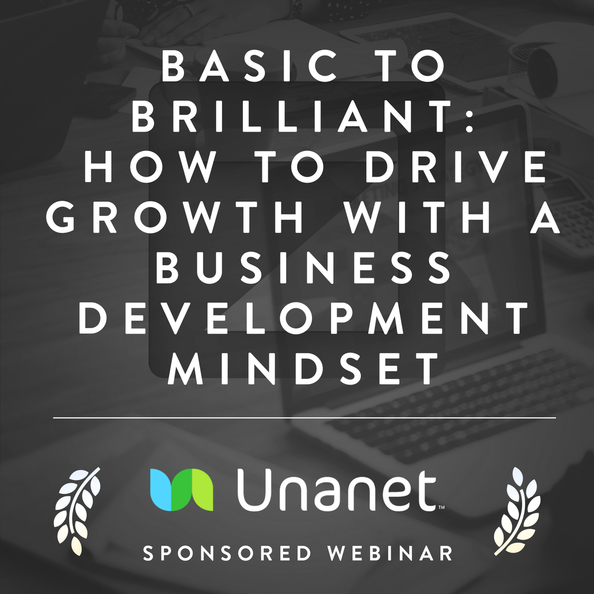 Basic to Brilliant: How to Drive Growth with a Business Development Mindset Cover