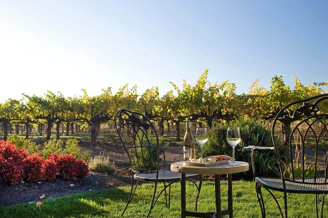 Executive Roundtable Sonoma Preview #2