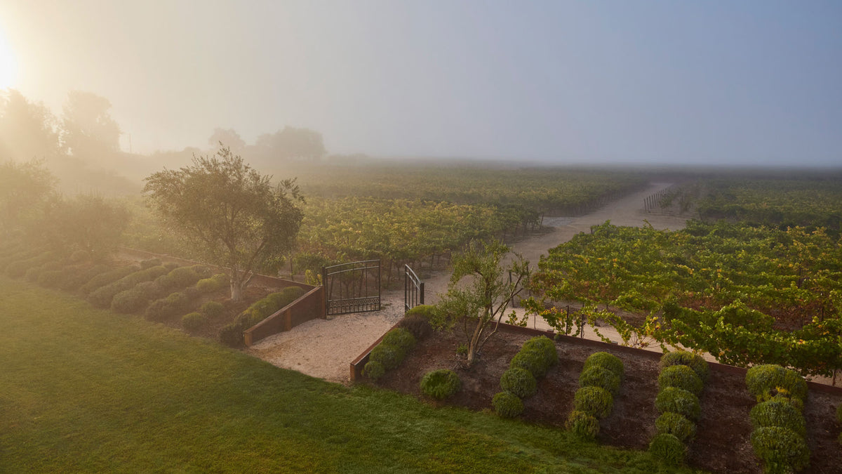 Executive Roundtable Sonoma Cover
