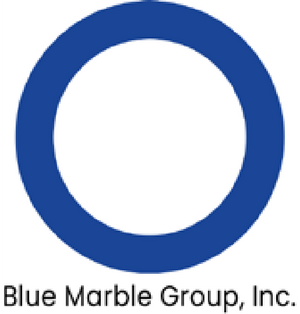 Logo | Blue Marble Group