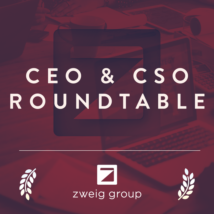 CEO & CSO Roundtable