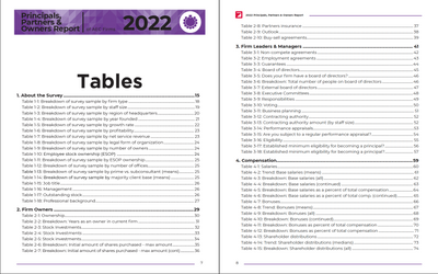2022 Principals, Partners & Owners Report Preview #3
