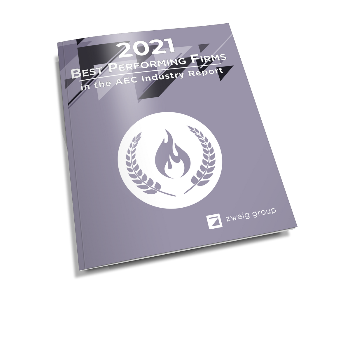 2021 Best Performing Firms in the AEC Industry Report Cover