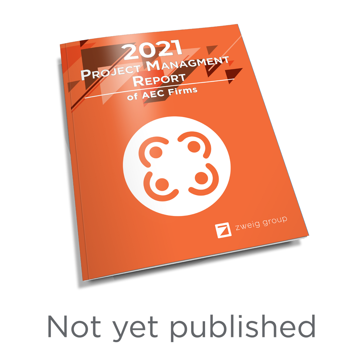 2021 Project Management Report Cover