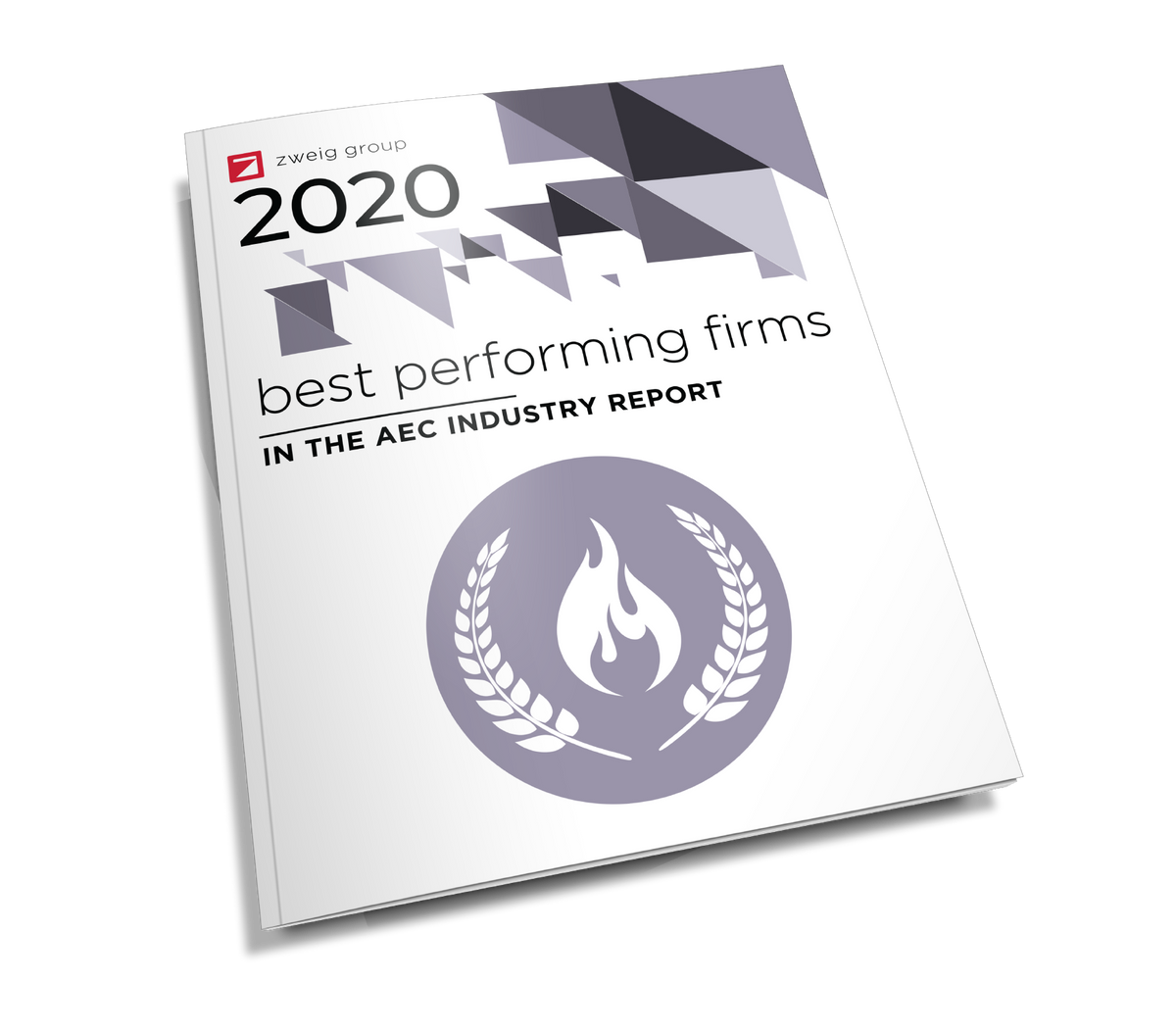 2020 Best Performing Firms in the AEC Industry Report Cover