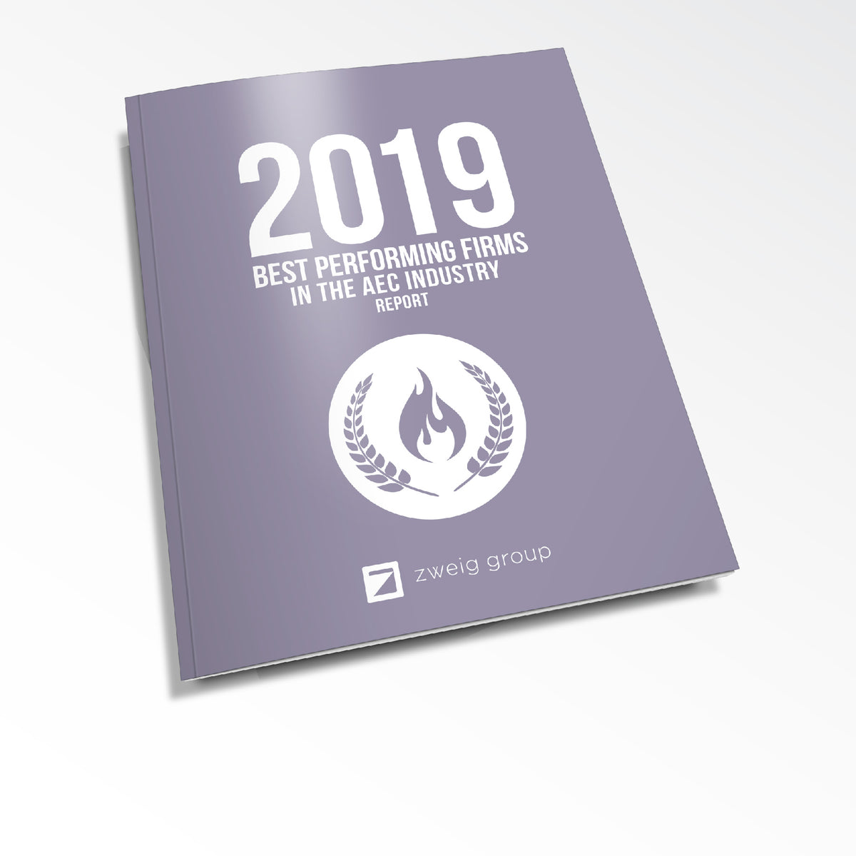 2019 Best Performing Firms in the AEC Industry Report Cover