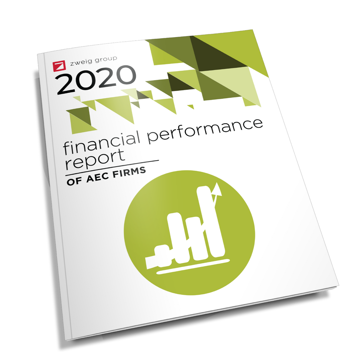 2020 Financial Performance Survey Report Cover