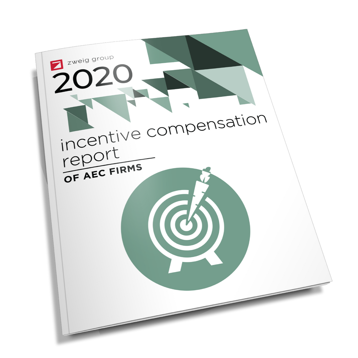 2020 Incentive Compensation Report Cover