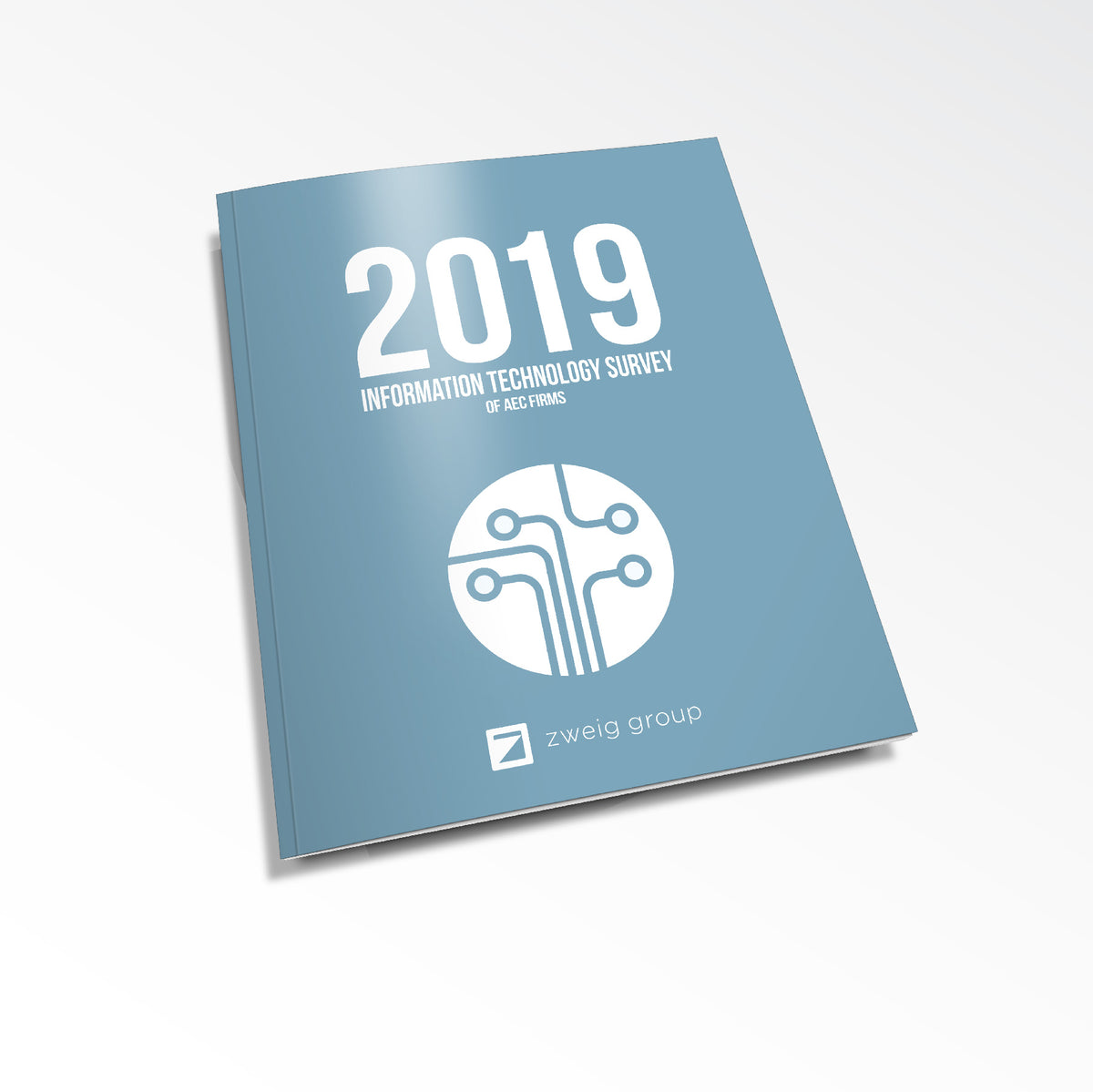 2019 Information Technology Survey Cover