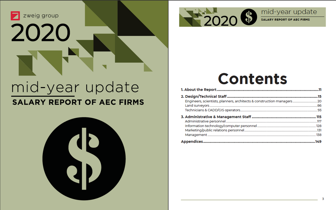 Mid-Year Update 2020 Salary Report of AEC Firms Preview #2