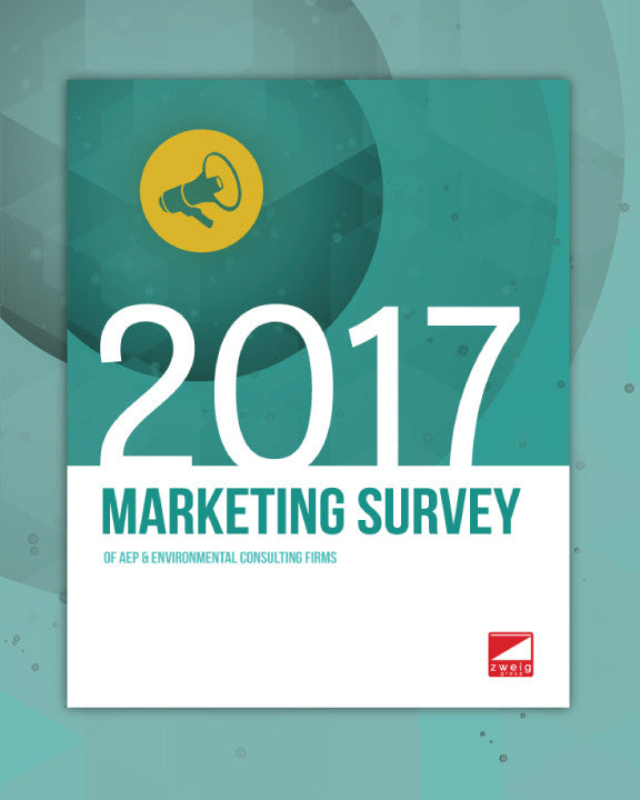 2017 Marketing Survey