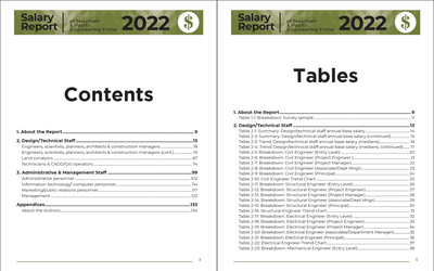 2022 Salary Report Preview #8