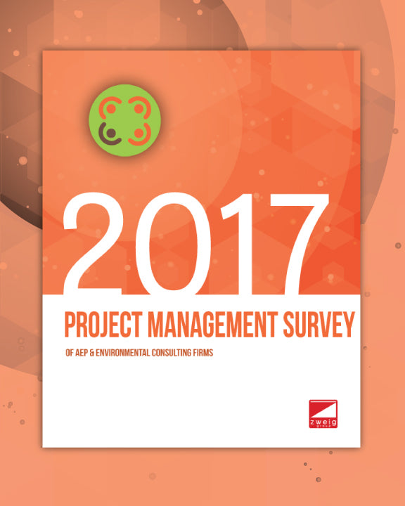 2017 Project Management Survey Cover
