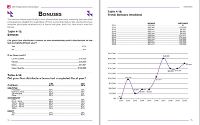 2020 Principals, Partners & Owners Report Preview #7