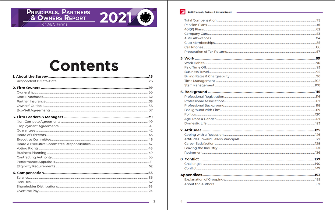 2021 Principals, Partners & Owners Survey Report Preview #2
