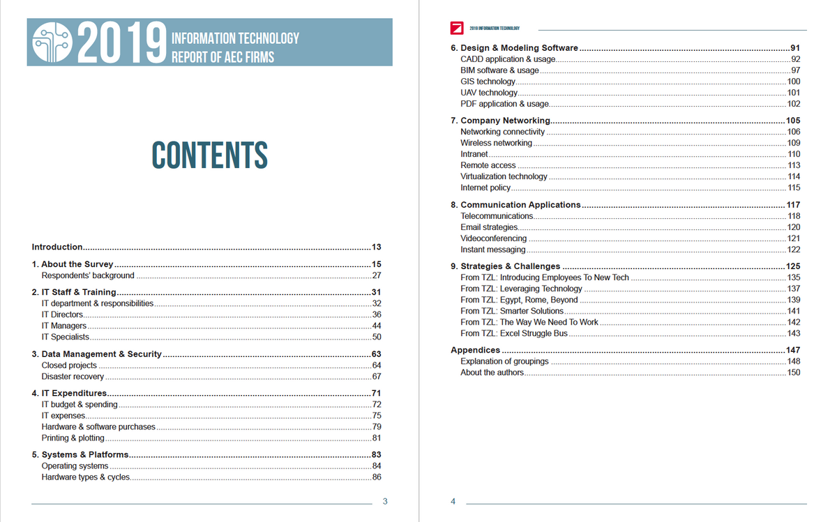 2019 Information Technology Survey Cover