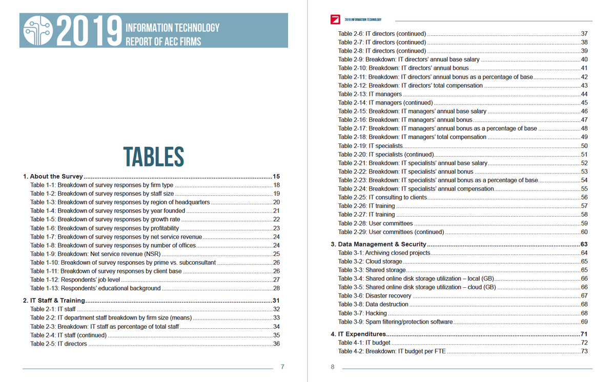 2019 Information Technology Survey Cover