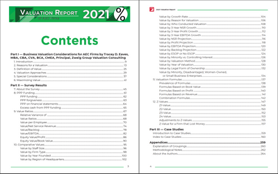2021 Valuation Survey Report Preview #2