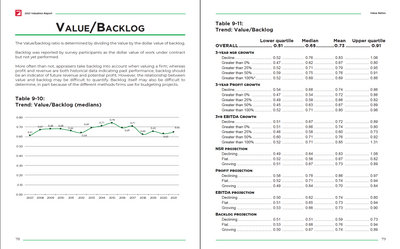 2021 Valuation Survey Report Preview #5